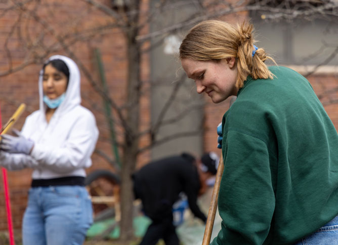 An Oakton College student volunteering at a local community garden during Week of Service.