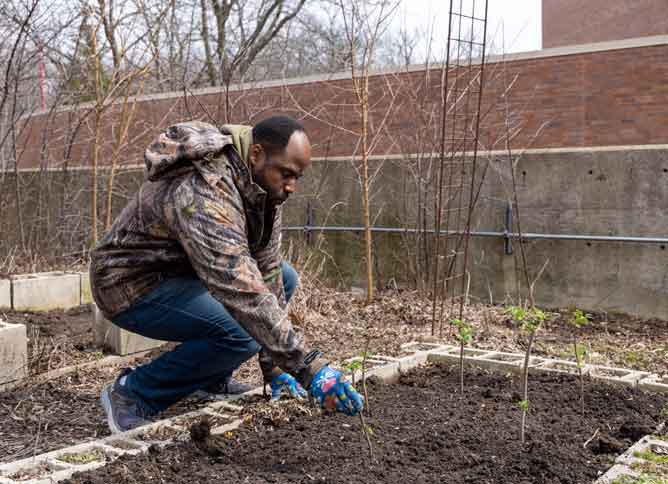 Oakton College Faculty and Staff volunteering at a local community garden during Week of Service.