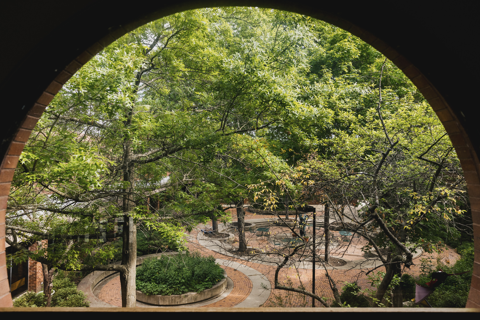 View of trees out of an arched window