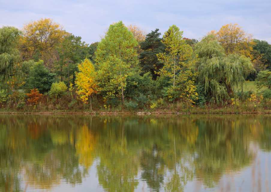 Des Plaines campus during the fall.