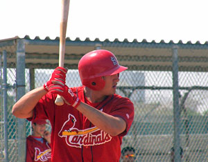 Cardinal at bat